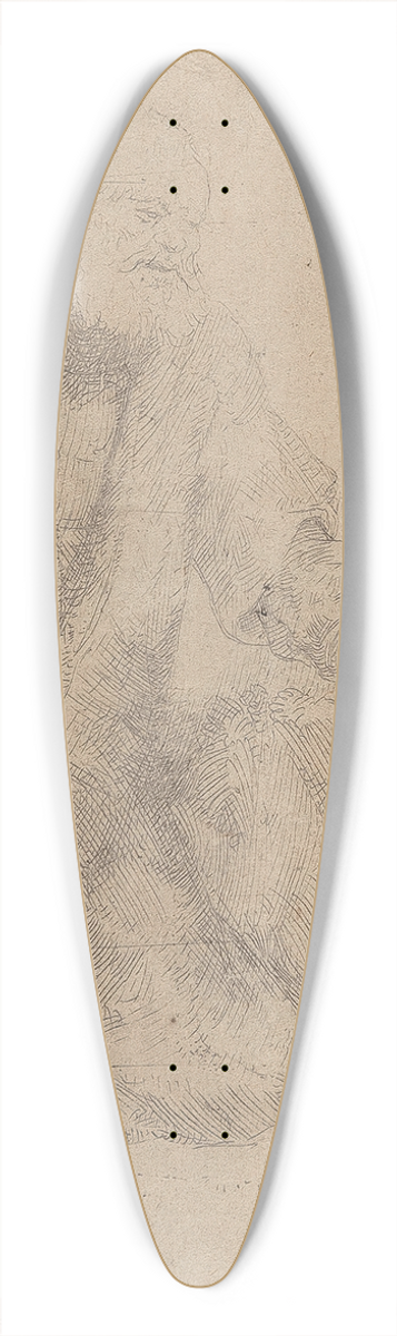 Rembrandt van Rijn - St. Peter in penitence 39.3 inch art pintail longboard deck