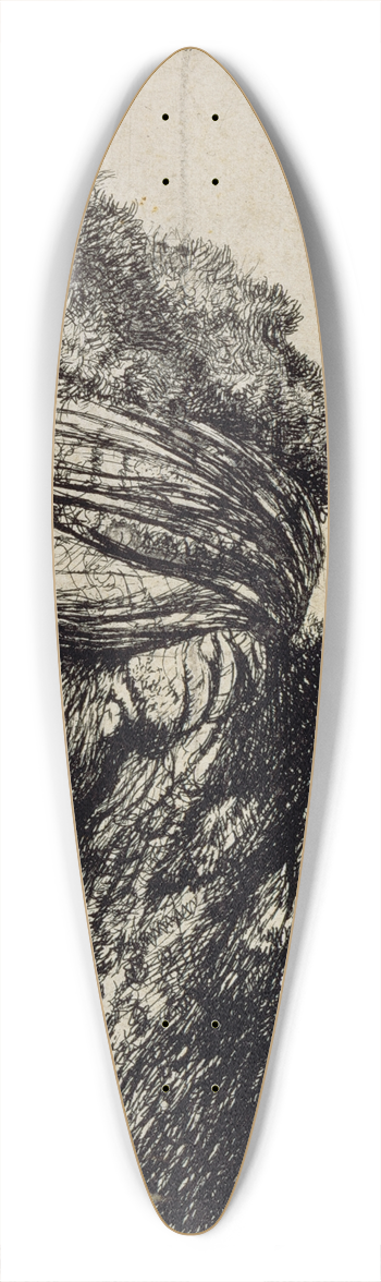 Rembrandt van Rijn - The Second Oriental Head 39.3 inch art pintail longboard deck