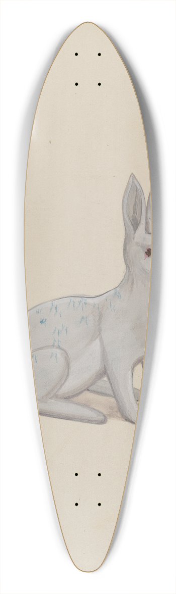 Rex F. Bush - Rabbit 39.3 inch art pintail longboard deck