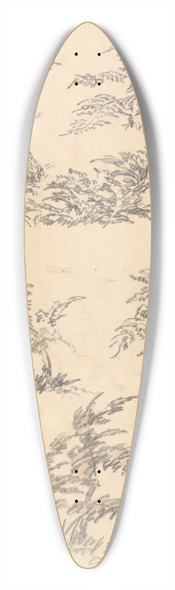 Robert Hills - Study of Bracken 39.3 inch art pintail longboard deck