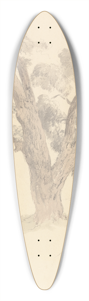 Robert Hills - Walnut Tree 39.3 inch art pintail longboard deck