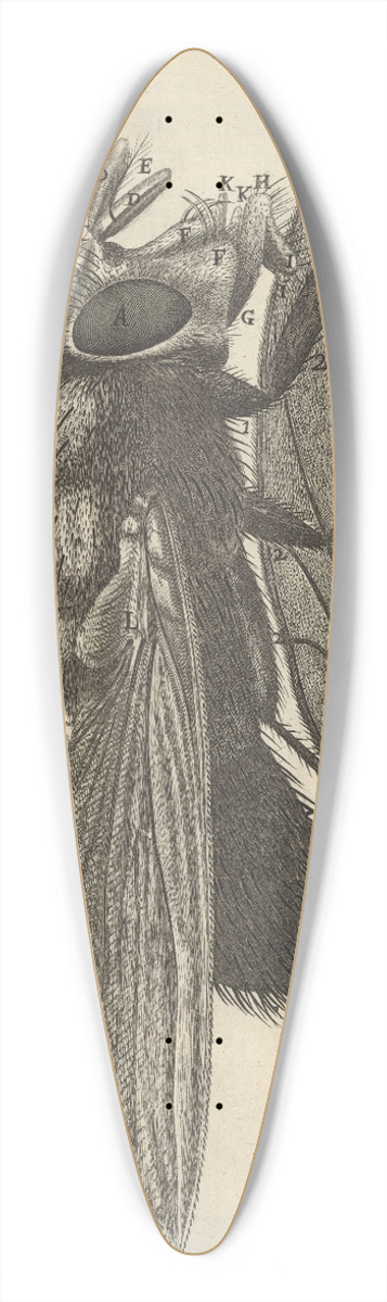 Robert Hooke - Microscopic view of a blue fly 39.3 inch art pintail longboard deck