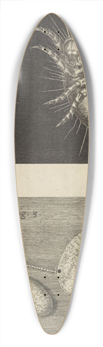 Robert Hooke - Microscopic view of mites 39.3 inch art pintail longboard deck
