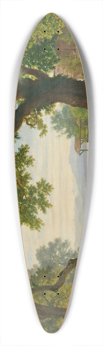 Robert Znd - At Lake Sempach 39.3 inch art pintail longboard deck