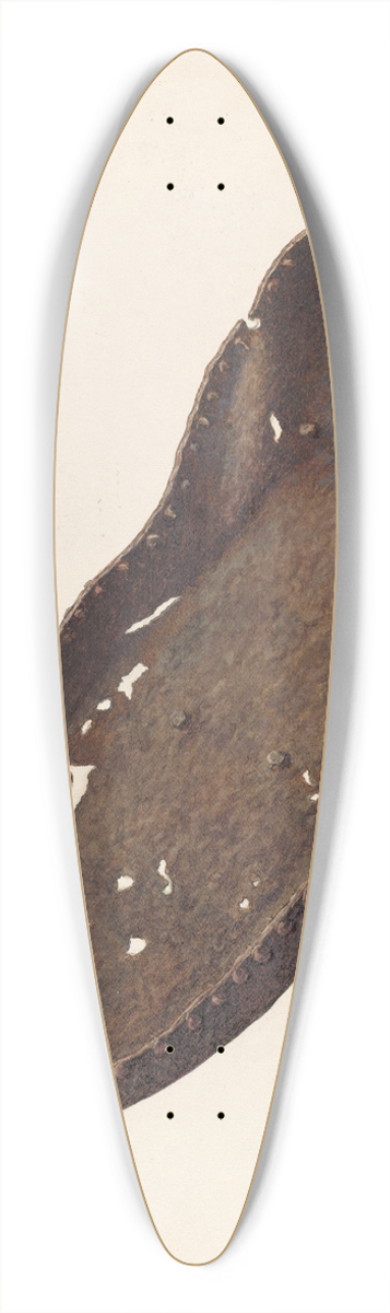Rocco Navigato - Iron Sole 39.3 inch art pintail longboard deck