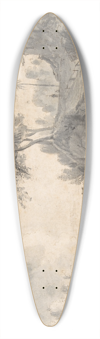 Roelant Roghman - Landscape 39.3 inch art pintail longboard deck