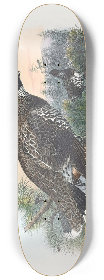 Daniel Giraud Elliot - Hartlaubs Spruce Grouse 8.25 inch art skate deck
