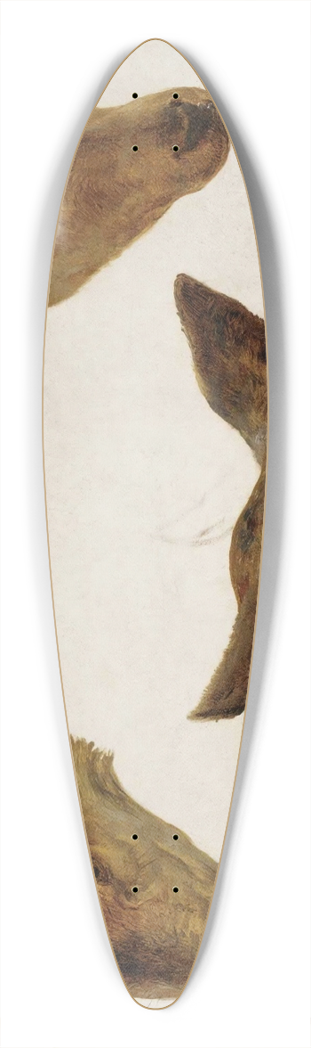 Rosa Bonheur - Study Of Deer Heads 39.3 inch art pintail longboard deck