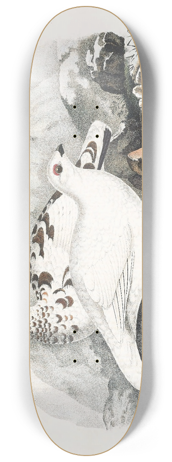 Daniel Giraud Elliot - Willow Grouse 8.25 inch art skate deck