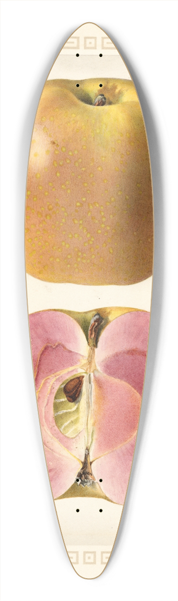 Royal Charles Steadman - Malus domestica 39.3 inch art pintail longboard deck