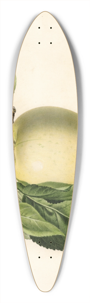 Royal Charles Steadman - Malus domestica: Yellow Transparent 39.3 inch art pintail longboard deck