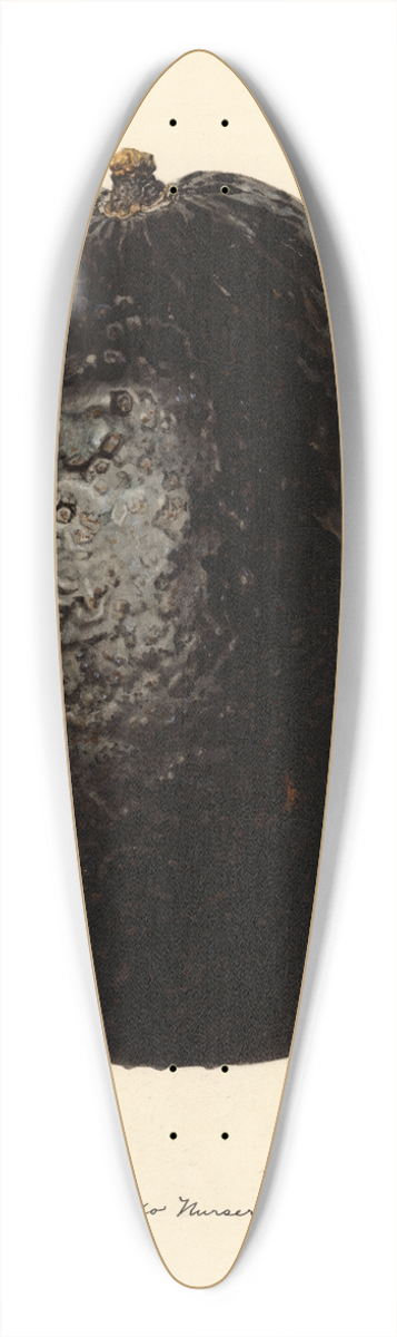 Royal Charles Steadman - Persea: Linda 39.3 inch art pintail longboard deck