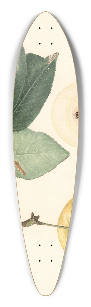 Royal Charles Steadman - Pyrus communis 39.3 inch art pintail longboard deck