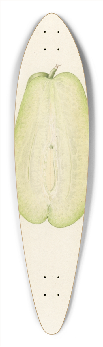 Royal Charles Steadman - Sechium edule 39.3 inch art pintail longboard deck