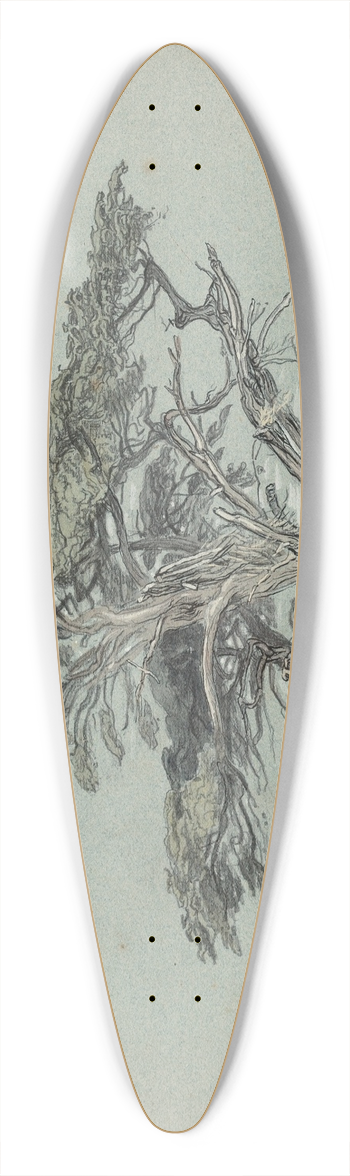 Samuel Colman - Cypress Trees, Cypress Point 39.3 inch art pintail longboard deck