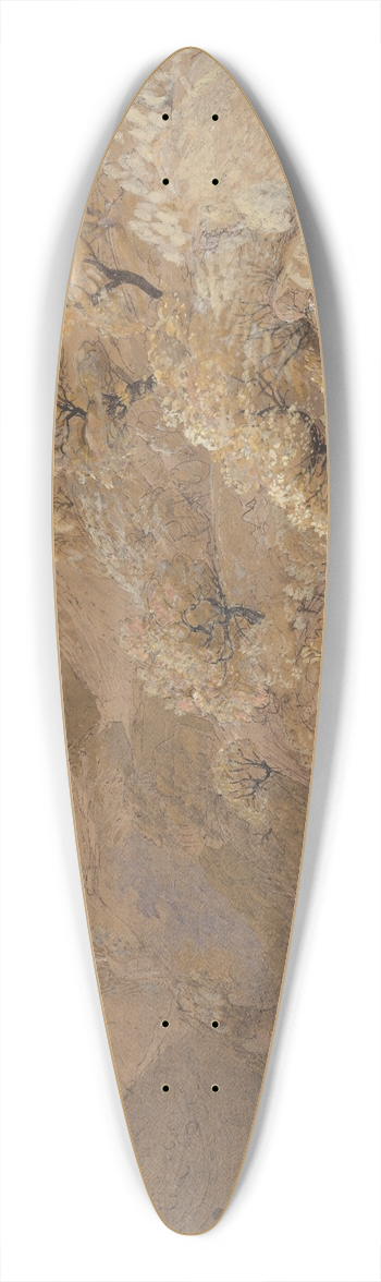 Samuel Palmer - Mount Siabod from Tyn-y-Coed near Capel Curig 39.3 inch art pintail longboard deck