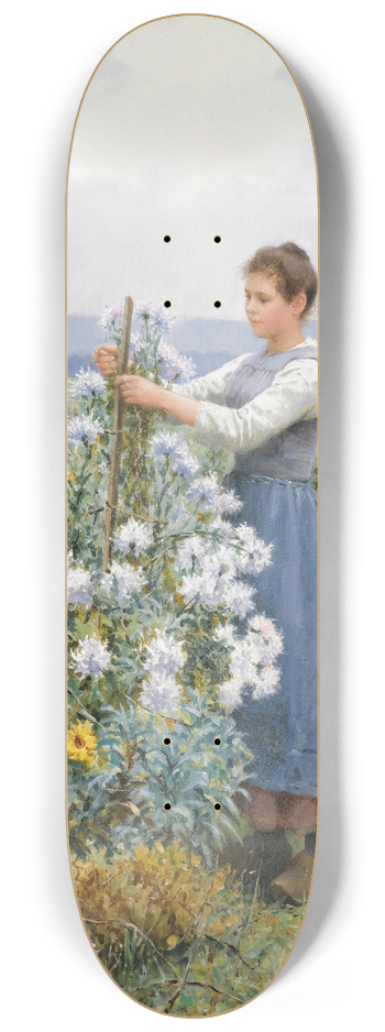 Daniel Ridgway Knight - Chrysanthemums 8.25 inch art skate deck