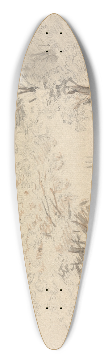 Sawrey Gilpin - Windsor Castle 39.3 inch art pintail longboard deck