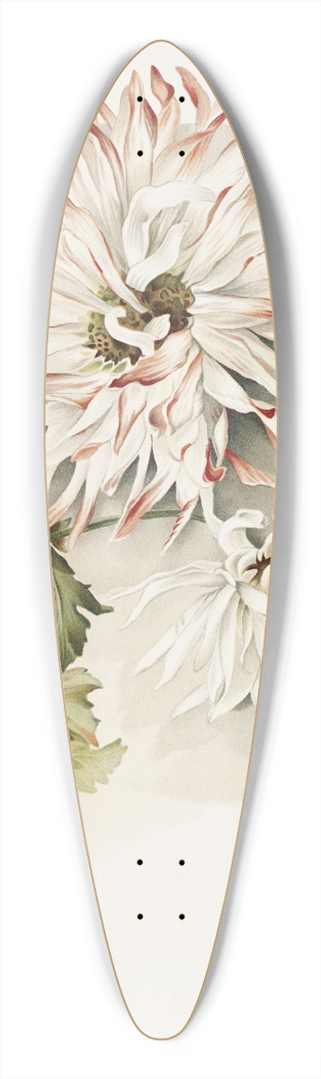 Sidney Thomas Callowhill - Chrysanthemums 39.3 inch art pintail longboard deck