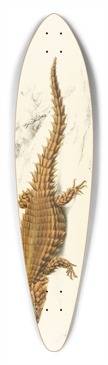 Sir Andrew Smith - Cordylus Cataphractus 39.3 inch art pintail longboard deck