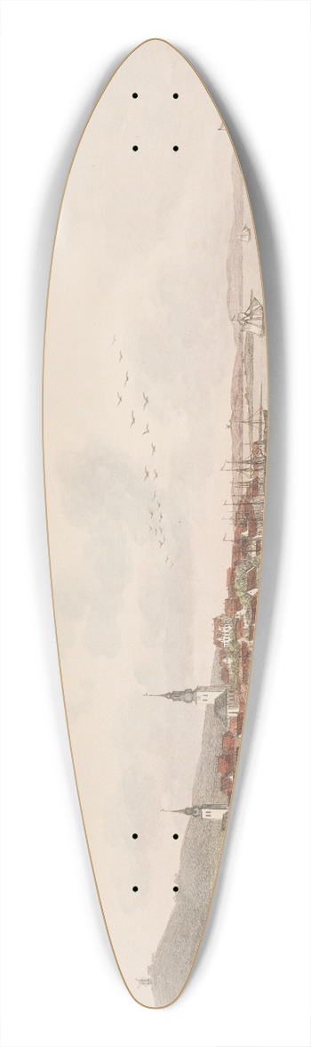 Sren L. Lange - Aalborg 39.3 inch art pintail longboard deck
