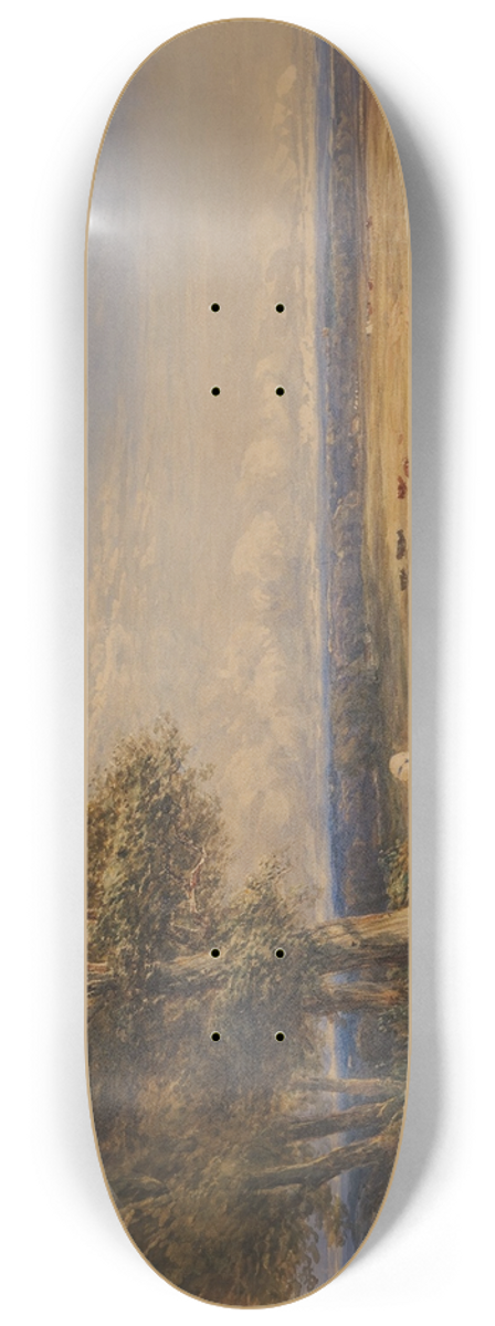 David Cox - The Skylark 8.25 inch art skate deck