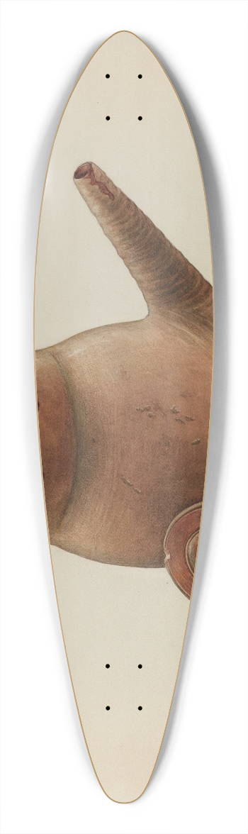 Stanley Mazur - Batter Jug 39.3 inch art pintail longboard deck