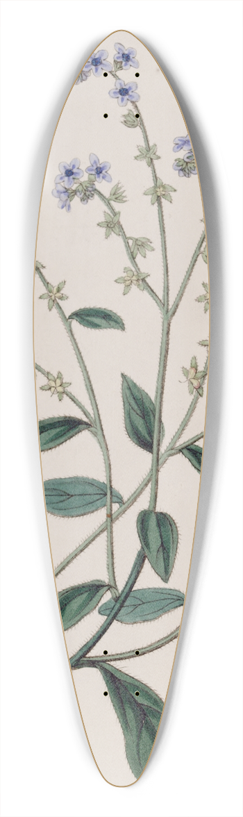Sydenham Edwards - Burry Houndstongue 39.3 inch art pintail longboard deck