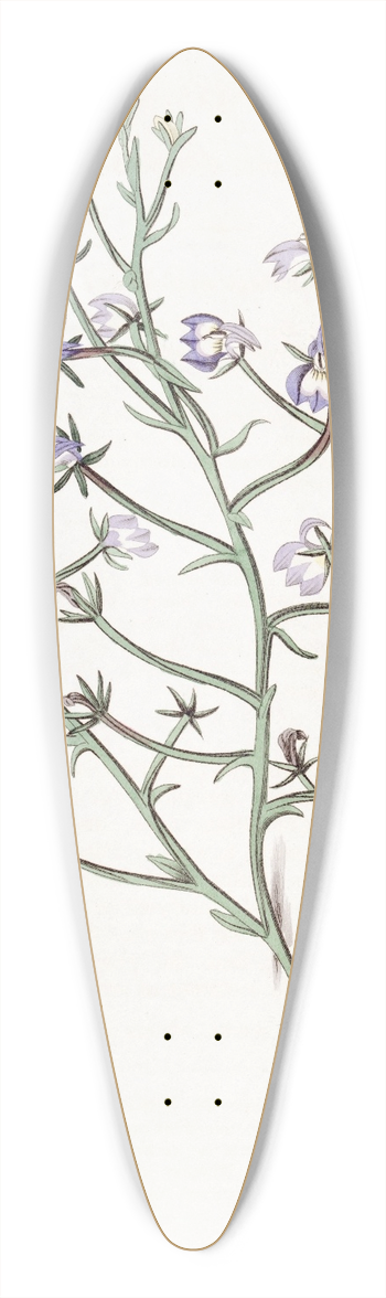 Sydenham Edwards - Elegant Clintonia 39.3 inch art pintail longboard deck