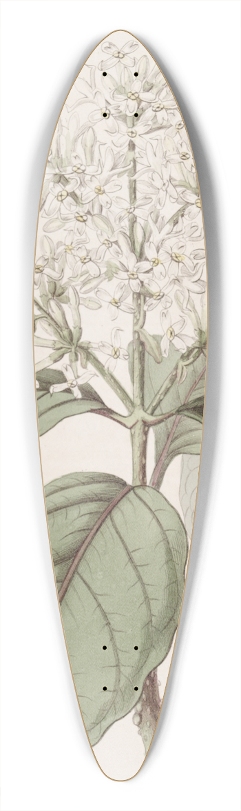Sydenham Edwards - Himalayan Lilac 39.3 inch art pintail longboard deck