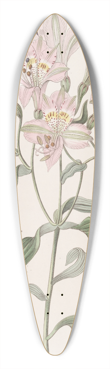 Sydenham Edwards - Lined Alstraemeria 39.3 inch art pintail longboard deck