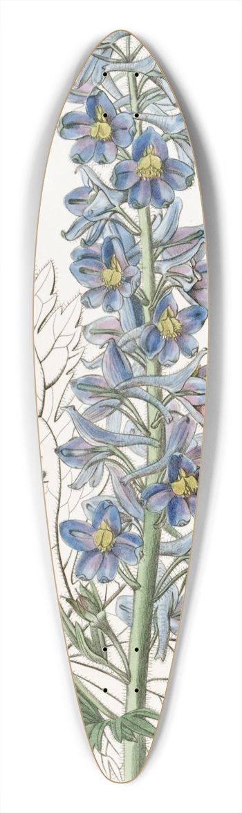 Sydenham Edwards - Mountain Larkspur 39.3 inch art pintail longboard deck