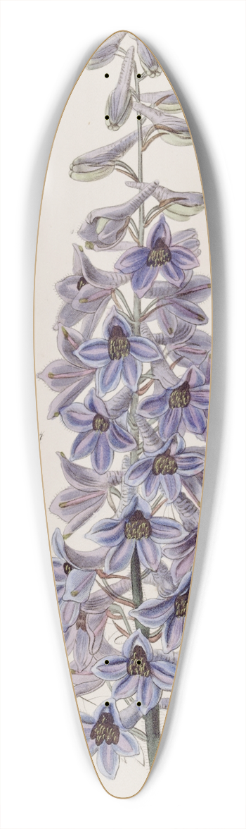 Sydenham Edwards - Sapphire-Blue variable Larkspur 39.3 inch art pintail longboard deck