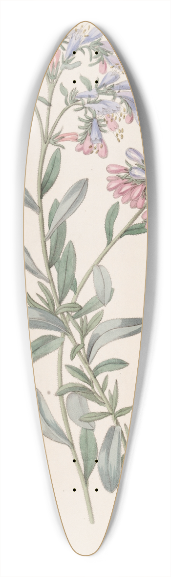 Sydenham Edwards - The Rock Bugloss 39.3 inch art pintail longboard deck