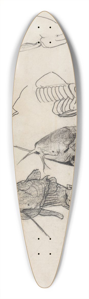 Theo Nieuwenhuis - Studieblad met meervallen 39.3 inch art pintail longboard deck