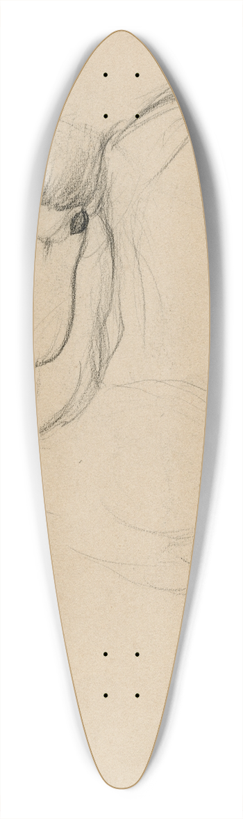 Theo van Hoytema - Een dodo 39.3 inch art pintail longboard deck