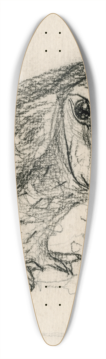 Theo van Hoytema - Een kleine uil 39.3 inch art pintail longboard deck