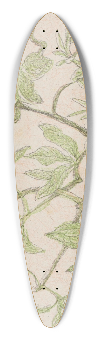 Theo van Hoytema - Jonge bladeren en knoppen 39.3 inch art pintail longboard deck