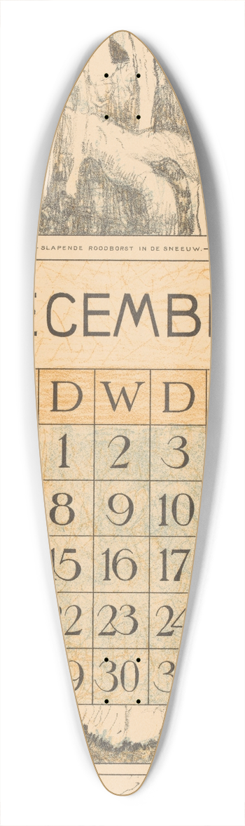 Theo van Hoytema - Kalenderblad december met slapend roodborstje 39.3 inch art pintail longboard deck