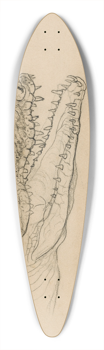 Theo van Hoytema - Kop van een krokodil 39.3 inch art pintail longboard deck