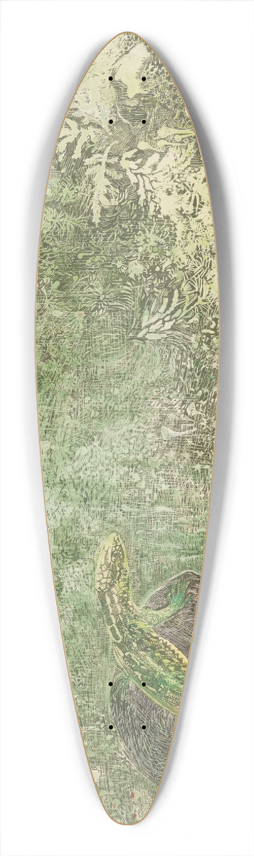 Theo van Hoytema - Lizard On A Stone 39.3 inch art pintail longboard deck
