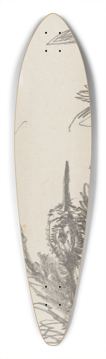 Theo van Hoytema - Tureluur in het gras 39.3 inch art pintail longboard deck