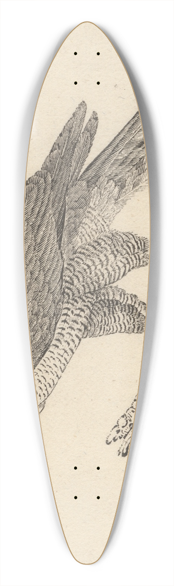 Thomas Bewick - The Goshawk 39.3 inch art pintail longboard deck