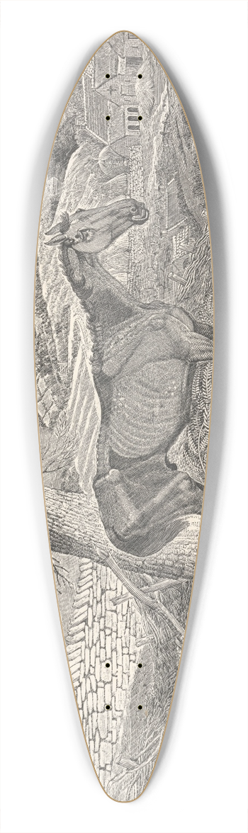 Thomas Bewick - Waiting for Death 39.3 inch art pintail longboard deck