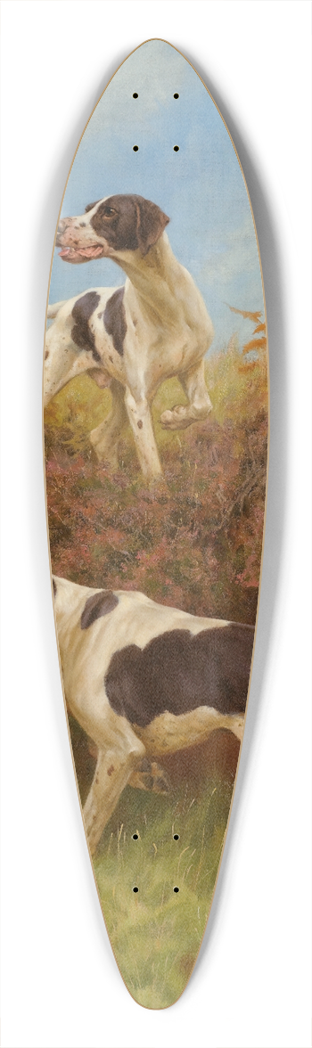 Thomas Blinks - A Good Point 39.3 inch art pintail longboard deck