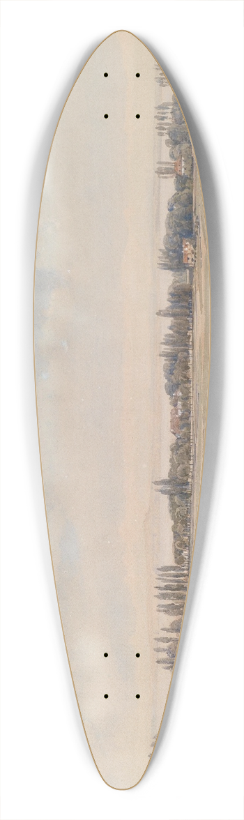 Thomas Ender - Gardasee Sdufer 39.3 inch art pintail longboard deck