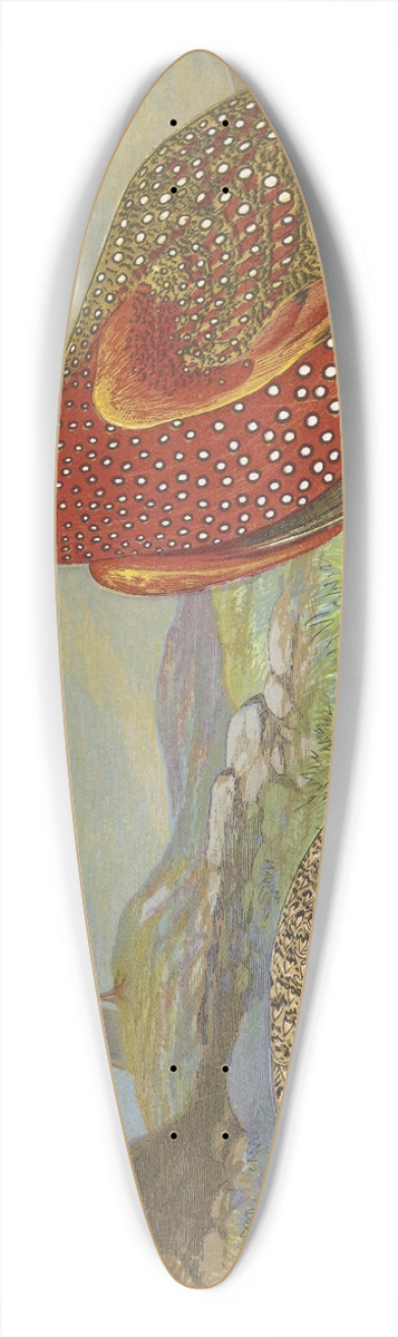 Thomas Waterman Wood - Horned Pheasants 39.3 inch art pintail longboard deck
