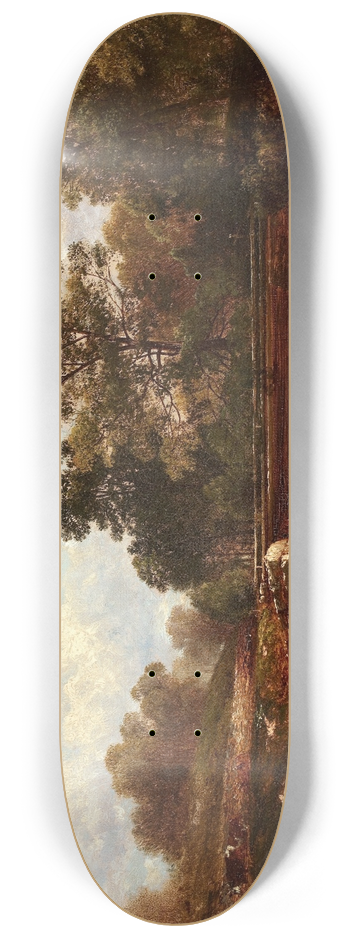 David Johnson - The Childrens Playground 8.25 inch art skate deck
