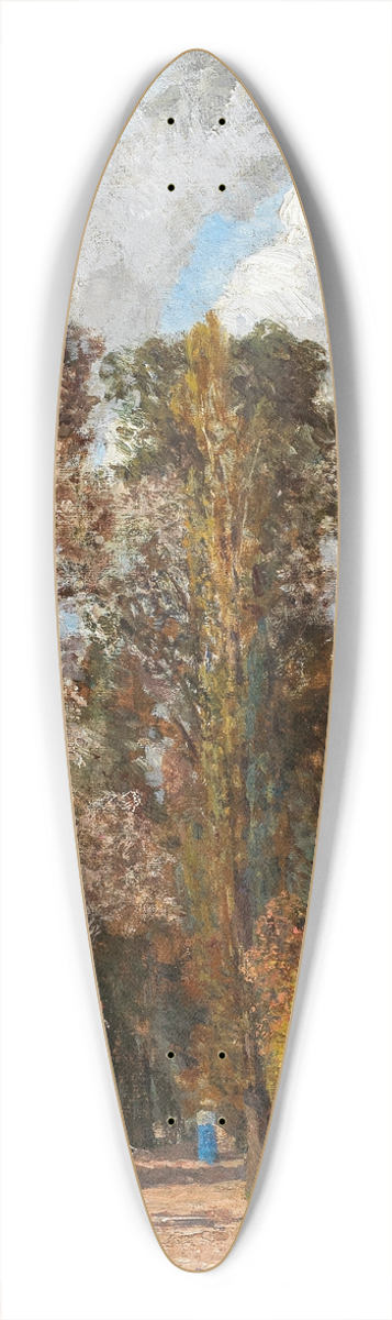 Tina Blau - Kleiner Prater 39.3 inch art pintail longboard deck