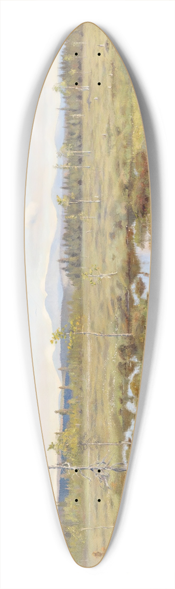 Torsten Wasastjerna - Landscape from Lapland 39.3 inch art pintail longboard deck